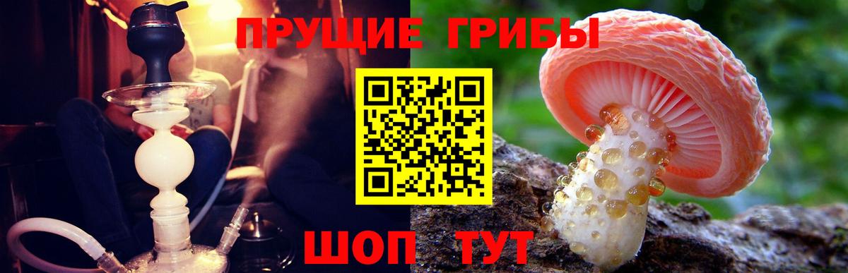 Добрянка  Псилоцибиновые грибы мухоморы  Псилоцибиновые грибы прущие грибы  Вход с VPN 